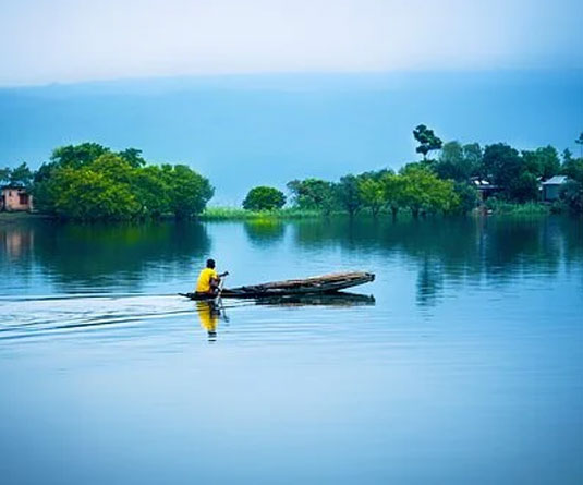 আমি সোনার বাংলা দেখতে শুরু করেছি