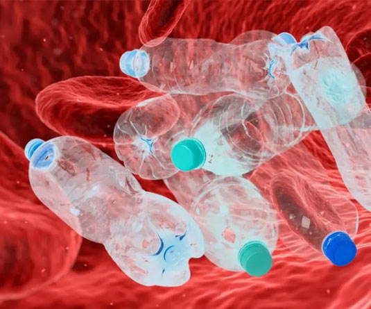 রক্তে মাইক্রো প্লাস্টিক! কী হতে পারে পরিণাম